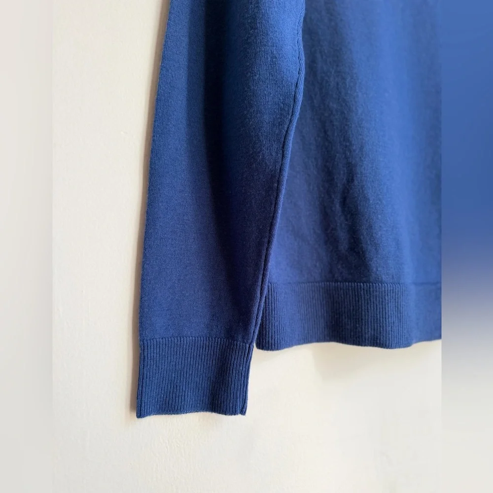 Gap Men’s Merino Wool V-Neck Sweater Blue Size Medium
